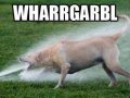 whargarbl.jpg